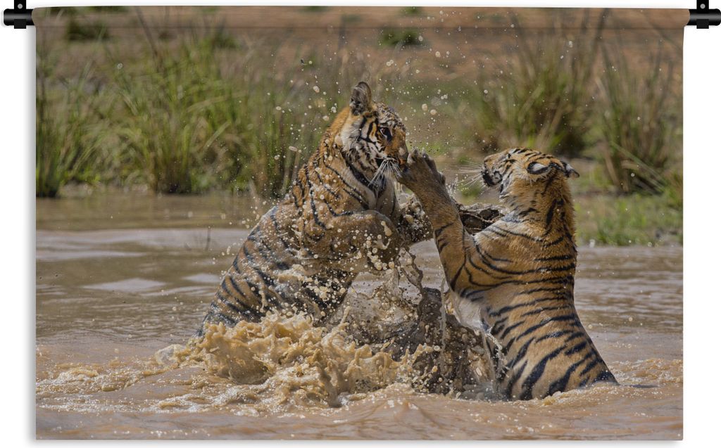 MuchoWow Wandteppich Wandbehang Junge Tiger spielen im Wasser 120x80 cm Tapisserie Dekoration Wandtuch - Wanddekorationen - Wandtücher