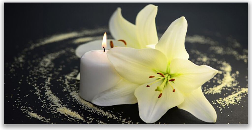 Tulup Leinwand-Bilder 120x60 Wandbild Canvas Kunstdruck Blume Pflanzen