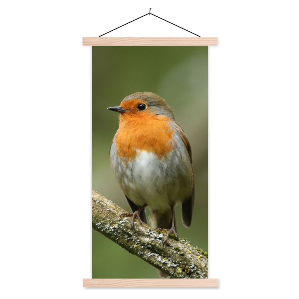 MuchoWow Textilposter Vogel - Rotkehlchen - Zweig - Pflanzen 40x80 cm mit holzfarbenen Rahmen - Wohnzimmer
