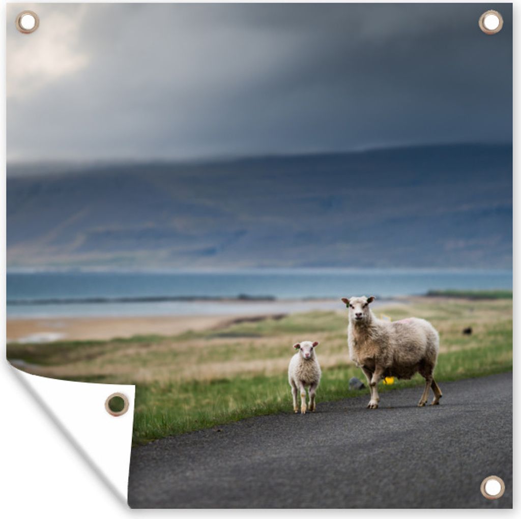 MuchoWow 50x50 cm Outdoor-Poster Gartendeko Sichtschutz Garten Poster für den Garten Schaf - Lamm - Sturm