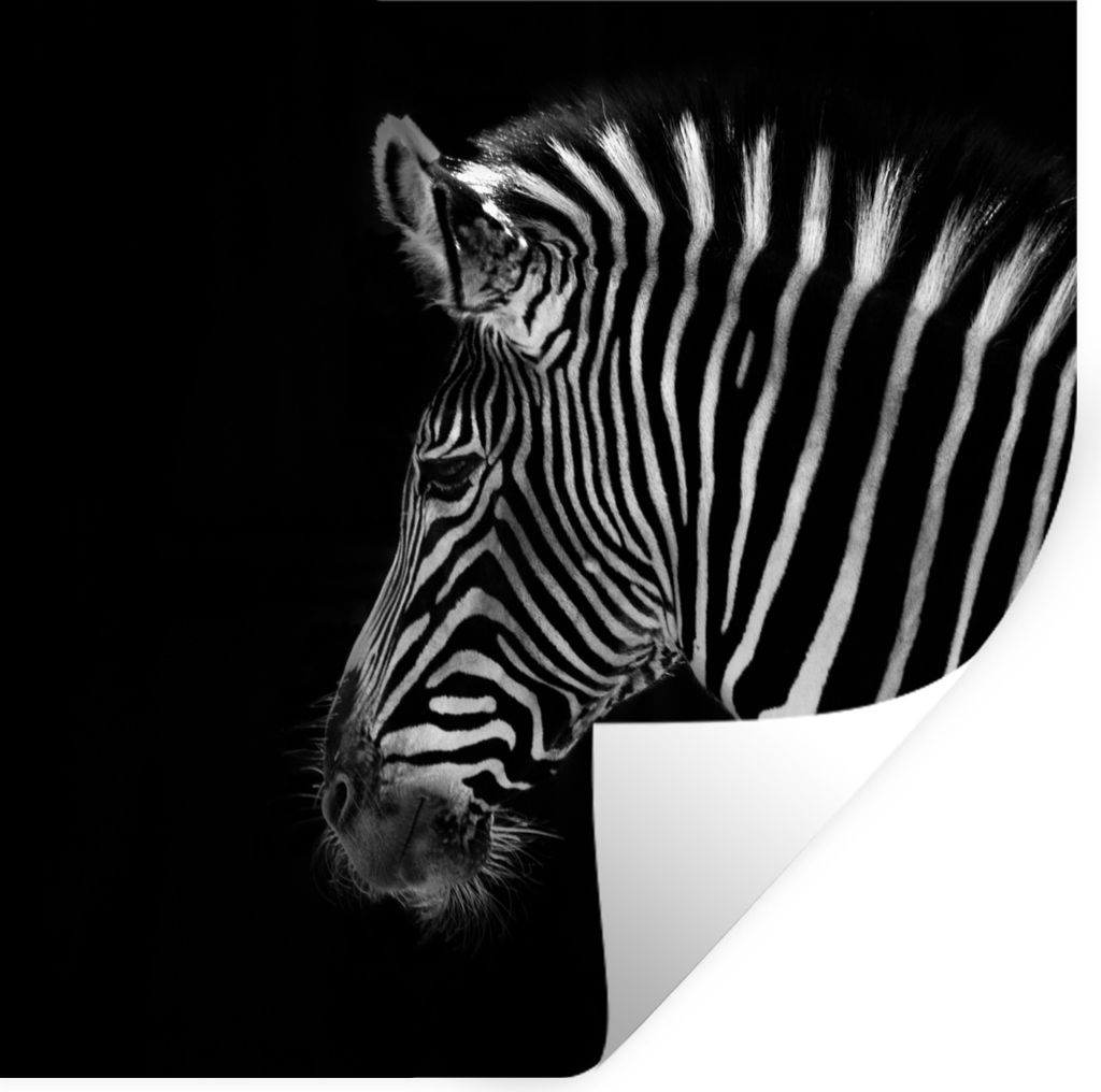 MuchoWow Wandtattoo Wandsticker Wandaufkleber Zebra - Wilde Tiere - Schwarz 50x50 cm Selbstklebend und Repositionierbar - Selbstklebend - Fototap...