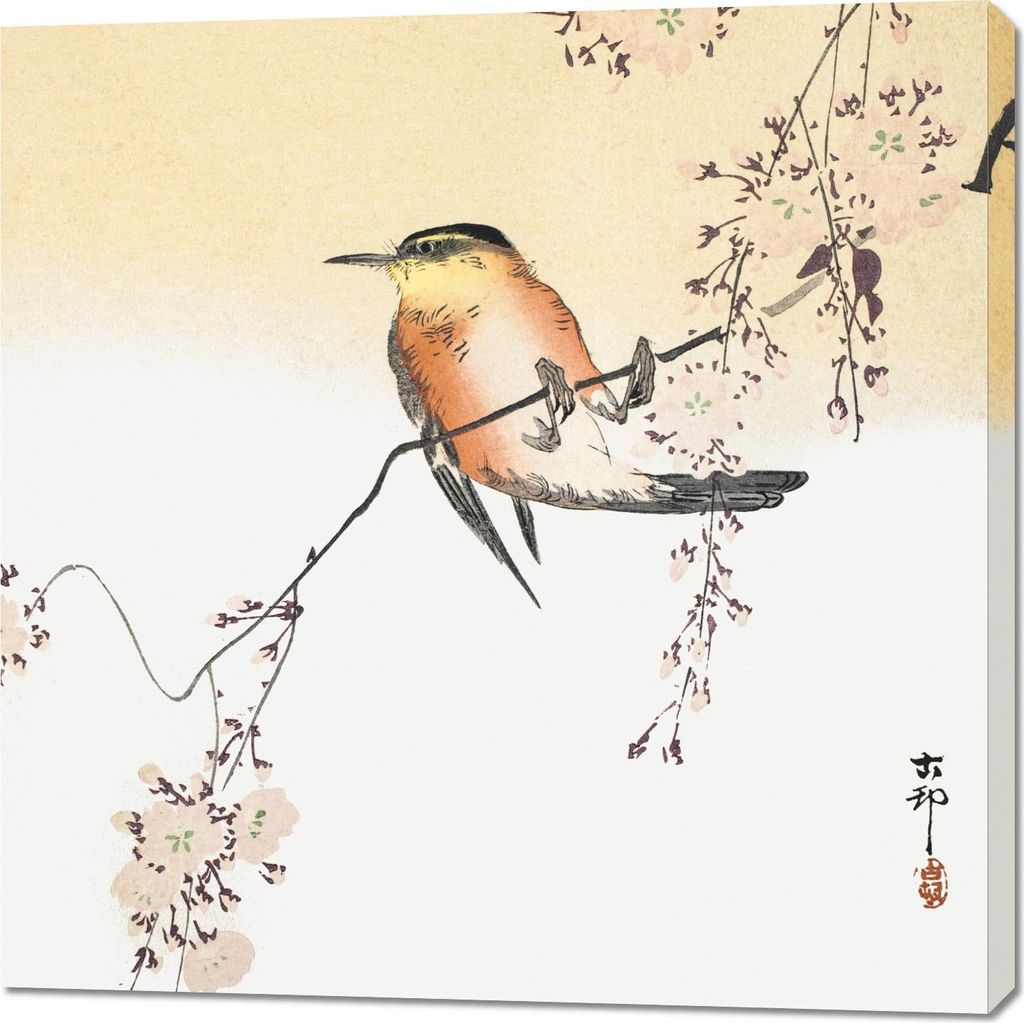 Bild 100x100cm Singvogel, Vintage Japanischer Karpfen für das Wohnzimmer