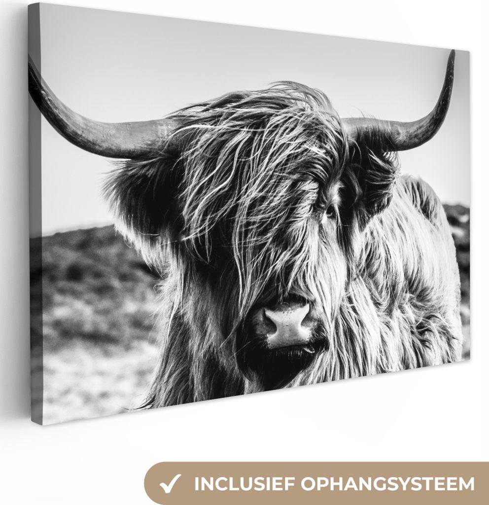 OneMillionCanvasses® - Obrazy na plátně - 140x90 cm, Kráva Obrázek produktu