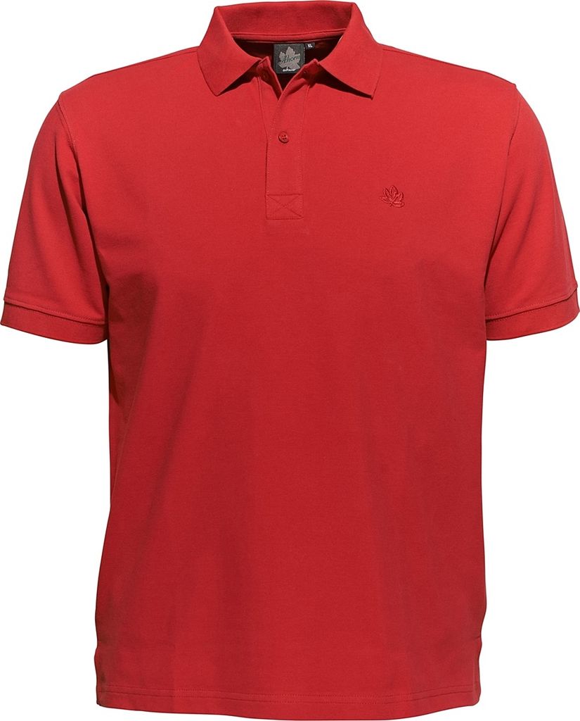 Übergrößen Basic-Poloshirt AHORN SPORTSWEAR chayenne red Produktbild 