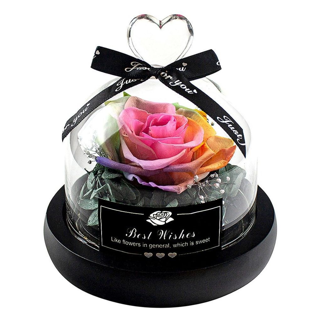 Kleine Infinity Rose, Regenbogen - Just For You