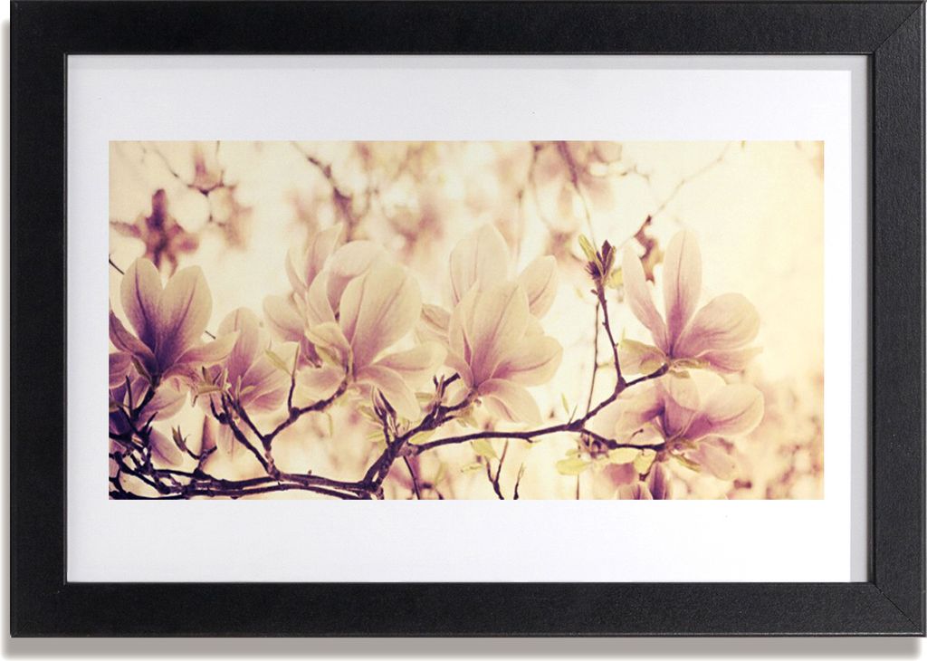 Bild 30x20 MDF-Rahmen Wandkunst Blumen Pflanzen Natur Produktbild 