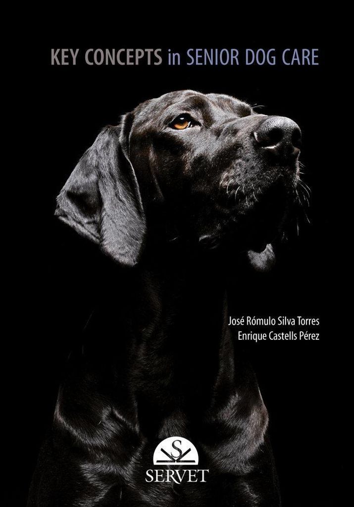 Key Concepts in Senior Dog Care