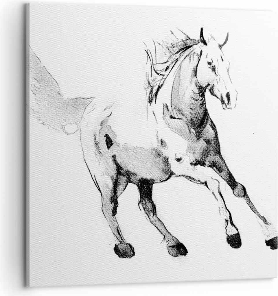 Bild auf Leinwand - Leinwandbild - Einteilig - Pferd Galopp Tier - 50x50cm - Wand Bild - Wanddeko - Wandbilder - Leinwanddruck - Bilder - Wanddekor...