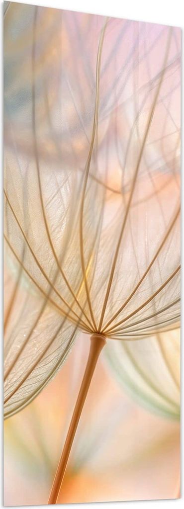 Glasbild 40x100cm in XXL für Wohnzimmer, Schlafzimmer Motiv Pusteblumen Kunst