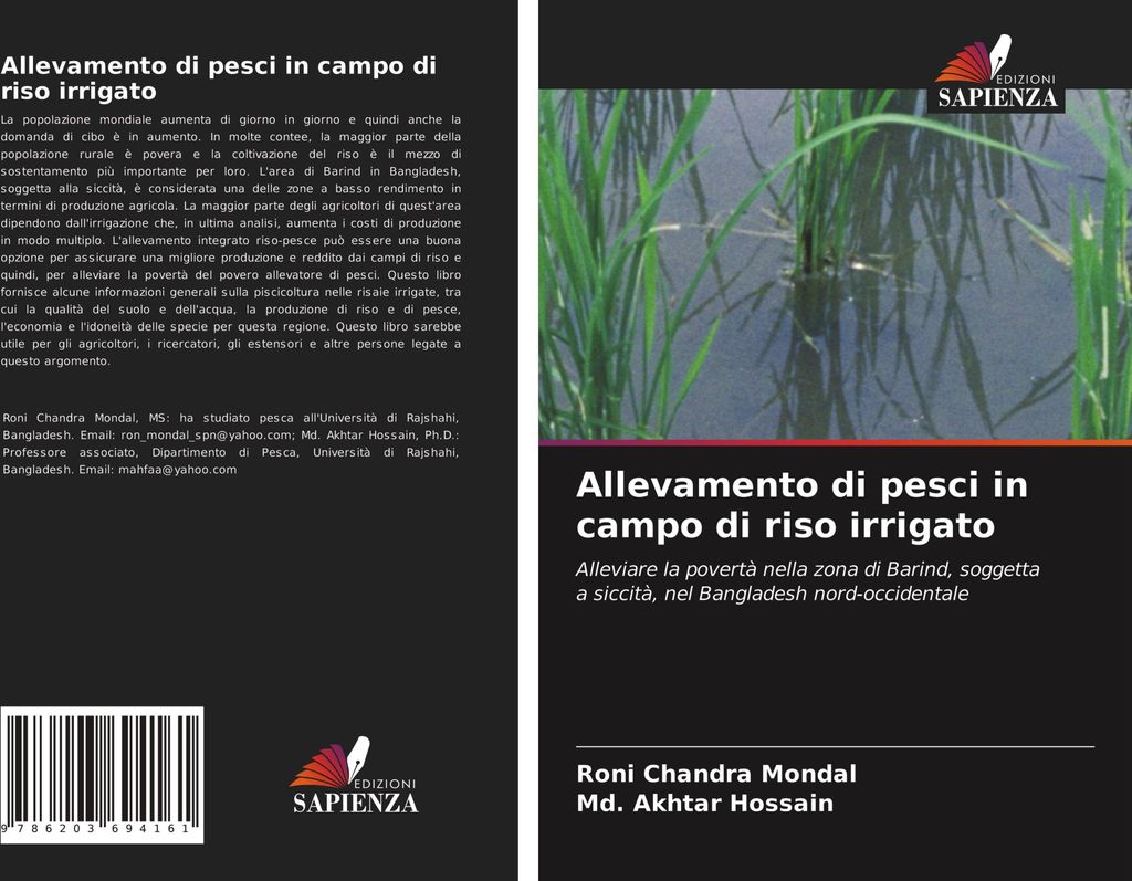 Allevamento di pesci in campo di riso irrigato