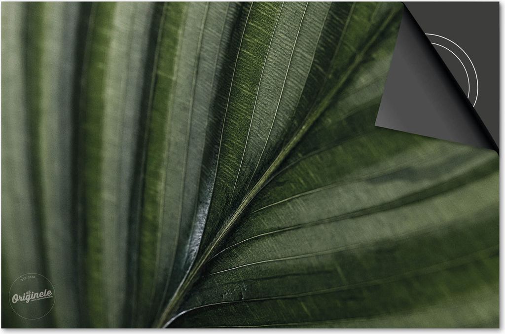 Induktionsschutz 60x52 - abdeckplatte Induktion matt- Dietrix Kochfeldschutz- Exklusive - Blätter - 11 Blatt nerf