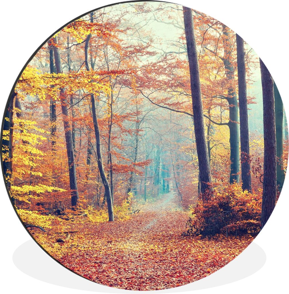 MuchoWow Aluminium Wandkreis Wald - Herbst - Laub Ø 30 cm Wanddeko Modern Wohnzimmer - Wand Bild - Wohnzimmer - Runde Bilder - Alubilder - Kunst...