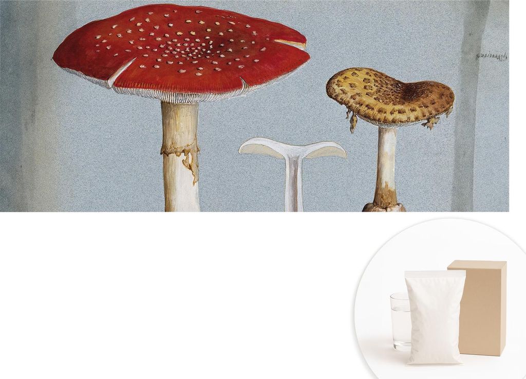 Fototapete - Wandbilder für Wohnzimmer - 208x146 cm - Dekorative Wandfolie - Modernes Design für Wanddekoration - Tapeten für Innenräume - Pilz...