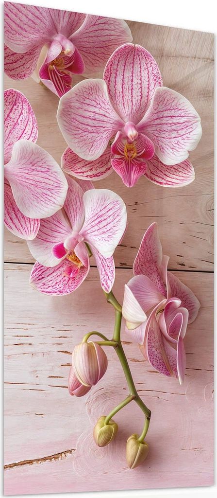 Glasbild 55x110cm in XXL für Wohnzimmer, Schlafzimmer Motiv Orchideen_tabletop