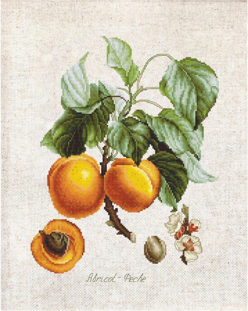 Luca-S Kreuzstich-Set "Aprikose-Pfirsich" Zählleinwand, Zählmuster, 17,5x22,5cm