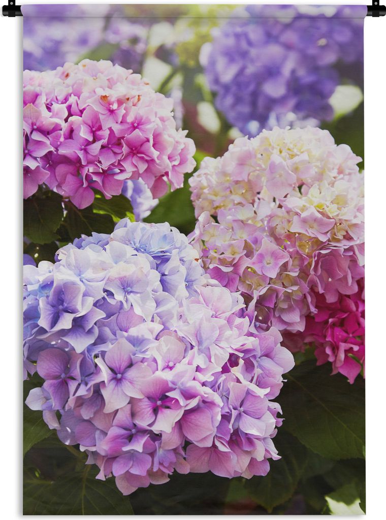 MuchoWow Wandteppich Wandbehang Blumen - Hortensie - Rosa - Blätter - Sonne 60x90 cm Tapisserie Dekoration Wandtuch - Foto-Teppich - Abwaschbar