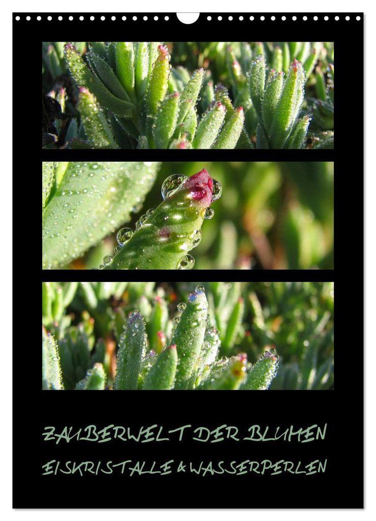 ZAUBERWELT DER BLUMEN - EISKRISTALLE & WASSERPERLEN (Wandkalender 2027 DIN A3 hoch), CALVENDO Monatskalender