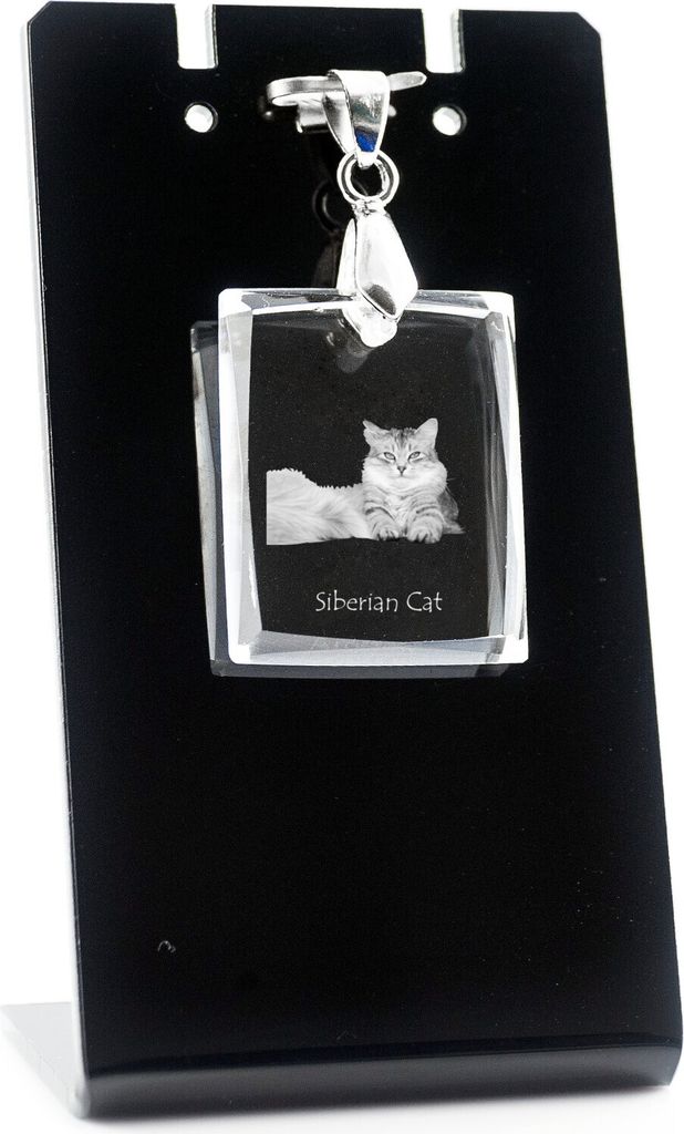 Sibirische Katze - Crystal cat pendant, photo necklace, unique jewellery by Art-Dog