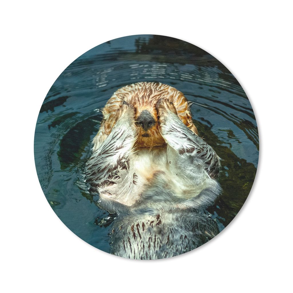 MuchoWow Mauspad Mousepad Otter im Wasser 50x50 cm - Mousepads - Maus Mat - Pad - Mausunterlage - Vinyl