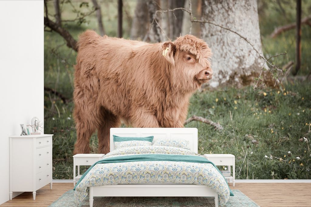 MuchoWow Fototapete für Wohnzimmer oder Schlafzimmer Wandtapete Vinyl Motivtapete Schottischer Highlander - Licht - Wald - 420x280 cm - Zimmer f...