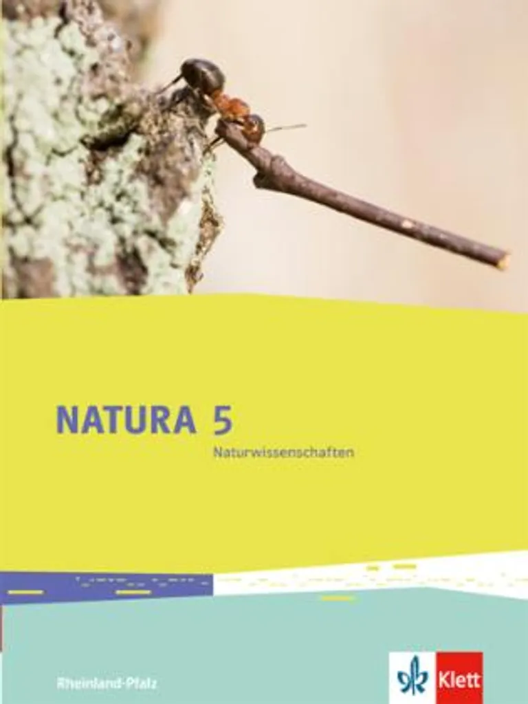 Comprendre les Sciences : Natura Naturwissenschaften 5. Ausgabe RLP