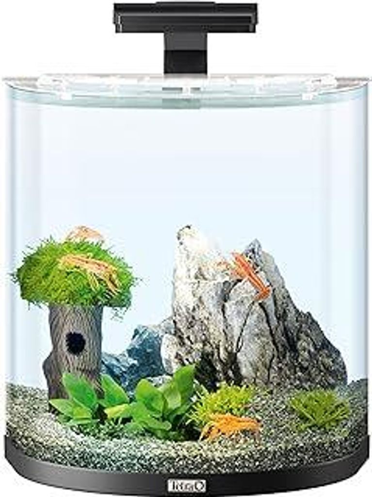 Tetra Explorer Line 30 L Aquarium Komplett-Set - Design Aquarium mit gebogener Frontscheibe, LED-Beleuchtung, Technik, Futter und Pflegemitteln, Fa...