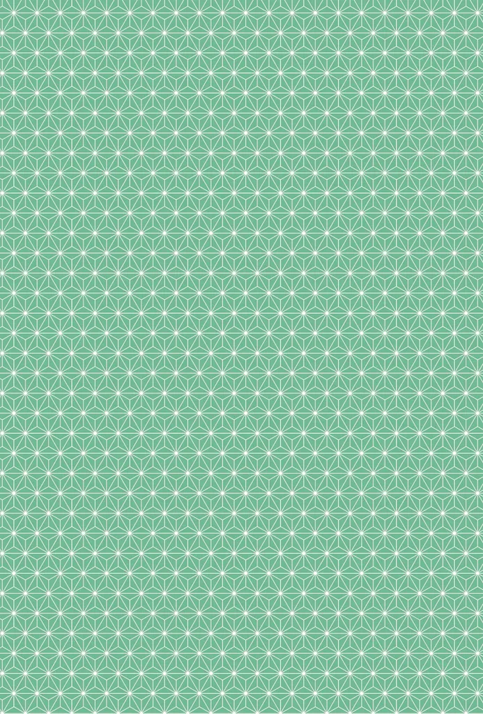 Heyda 204776449 Carton Design Starlight A4 21x31cm avec Bande de Codage