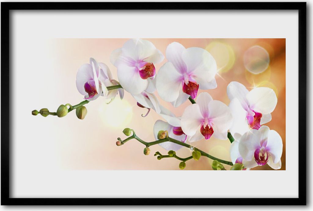 Bild 60x40 MDF-Rahmen Wandkunst Blumen Pflanzen Natur