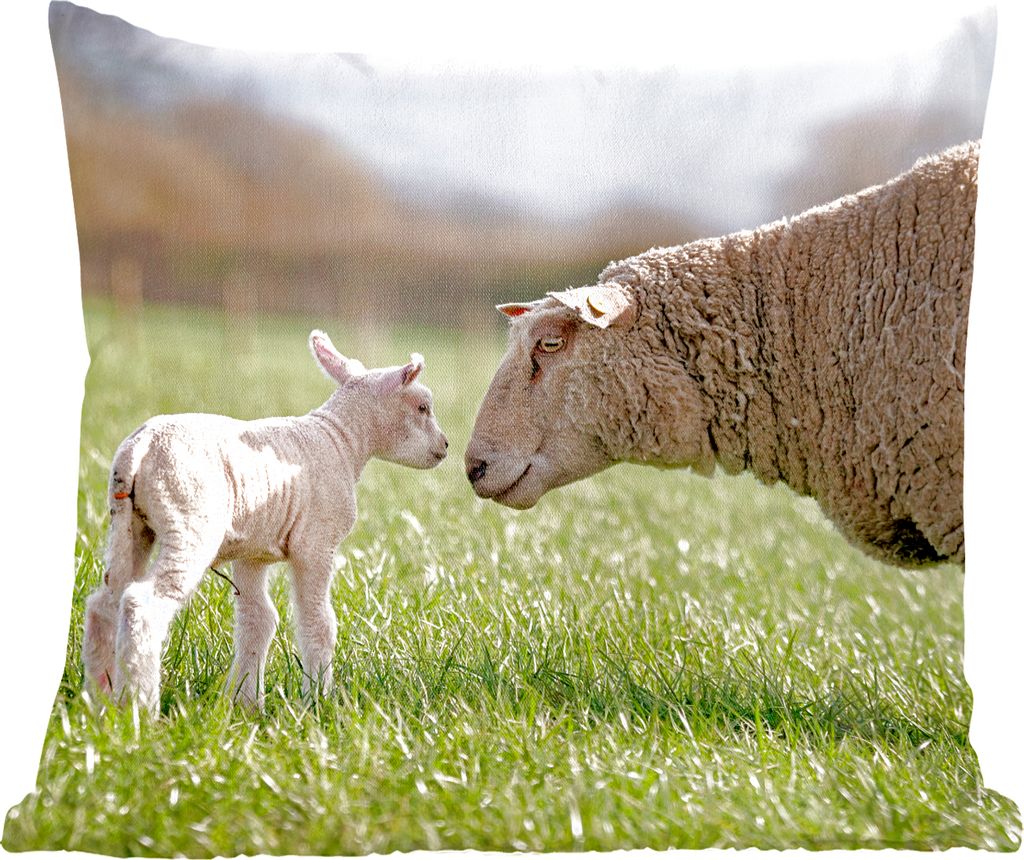 MuchoWow Zierkissen Sofakissen Wohnzimmer Dekokissen 60x60 cm Schafe - Sonne - Gras - Sitzfläche - Foto Polster