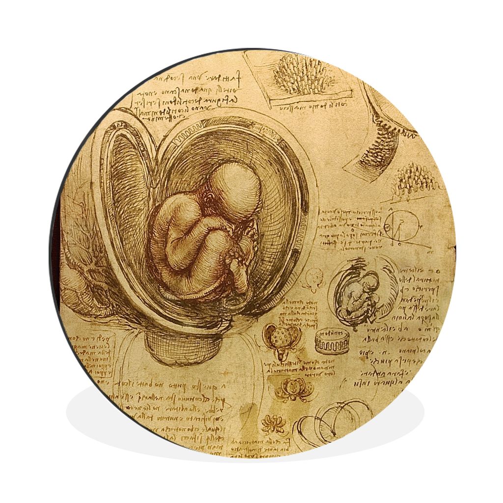 MuchoWow Aluminium Wandkreis Baby im Mutterleib - Leonardo da Vinci Ø 30 cm Wanddeko Modern Wohnzimmer - Wand Bild - Wohnzimmer - Runde Bilder -...