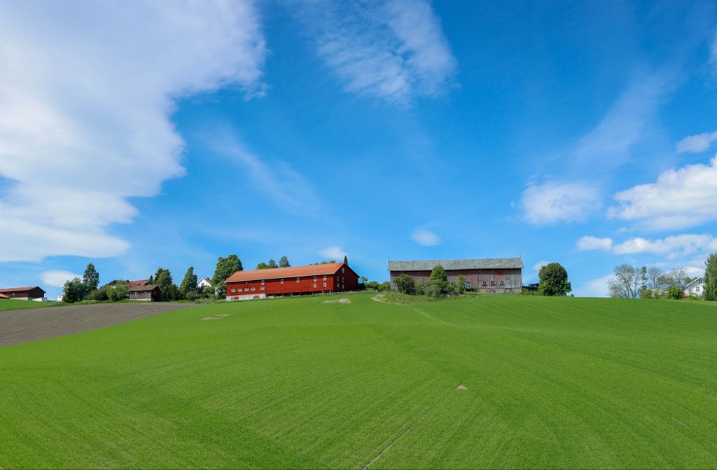 hansepuzzle 68092 - Bauernhof Puzzle, 500 Teile, Hintergründe, 46,0 x 30,0cm mit hochwertiger Aufbewahrung, Kartonbox & Beutel