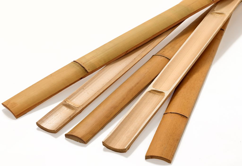Bambuslatten Moso Bambus 180cm