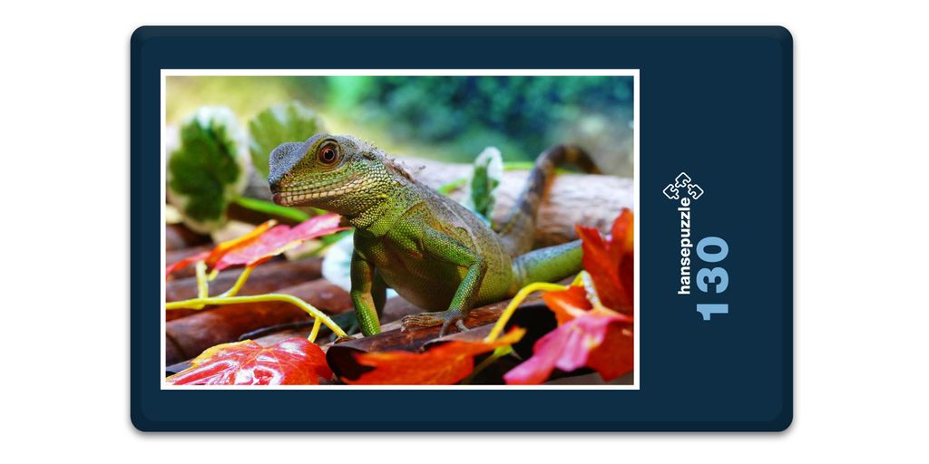hansepuzzle 17333 - Wasserdrache Puzzle, 130 Teile, Natur, 28,7 x 20,0cm mit hochwertiger Aufbewahrung, Kartonbox und wiederverschließbarem Beutel