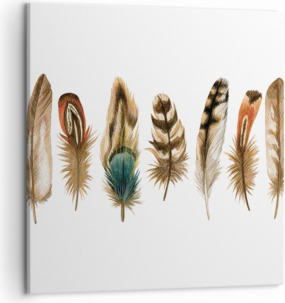 Bild auf Leinwand - Leinwandbild - Einteilig - Weiß Hintergrund Federn - 50x50cm - Wand Bild - Wanddeko - Wandbilder - Leinwanddruck - Bilder - Wa...