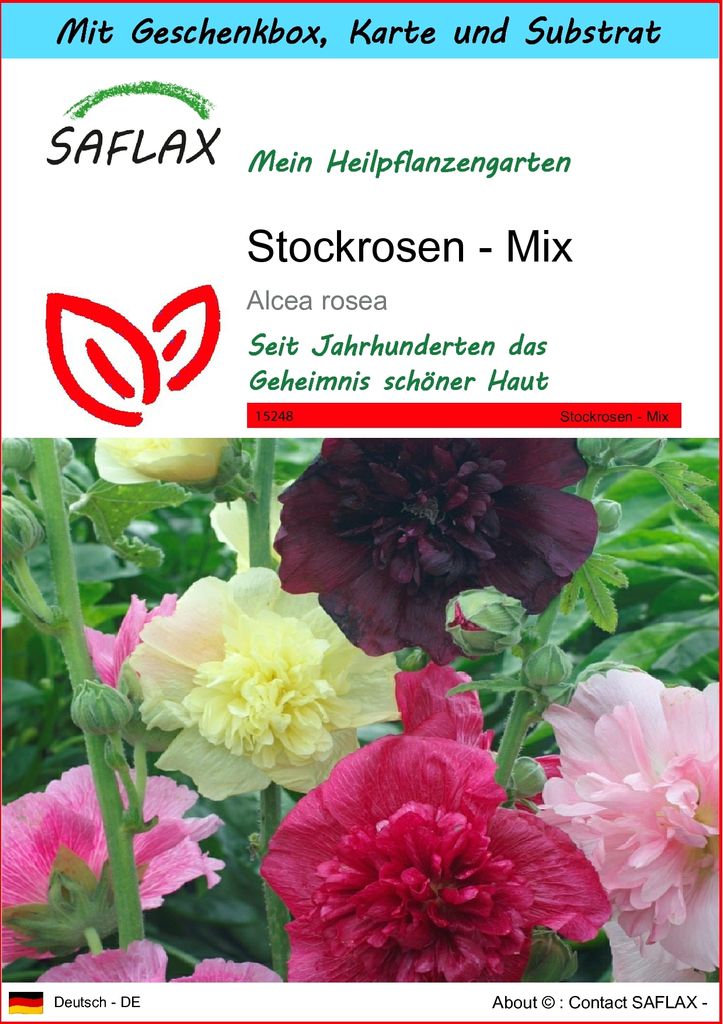 SAFLAX Geschenk Set - Stockrosen - Mix - Alcea rosea - 100 Samen - Mit Geschenkbox, Versandaufkleber, Geschenkkarte und Anzuchtsubstrat