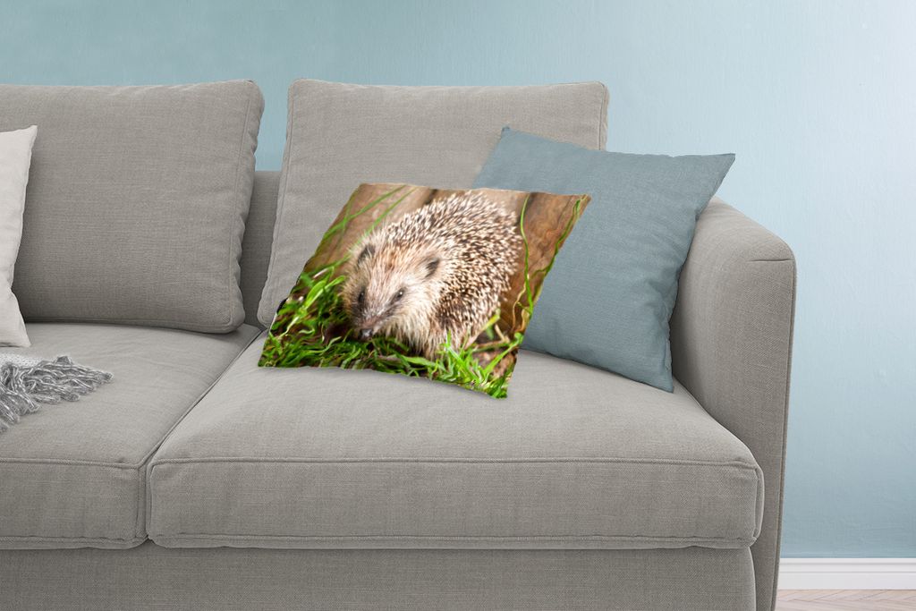 MuchoWow Zierkissen Sofakissen Wohnzimmer Dekokissen 60x40 cm Igel für Holzhintergrund - Kopfkissen - Polster mit Foto