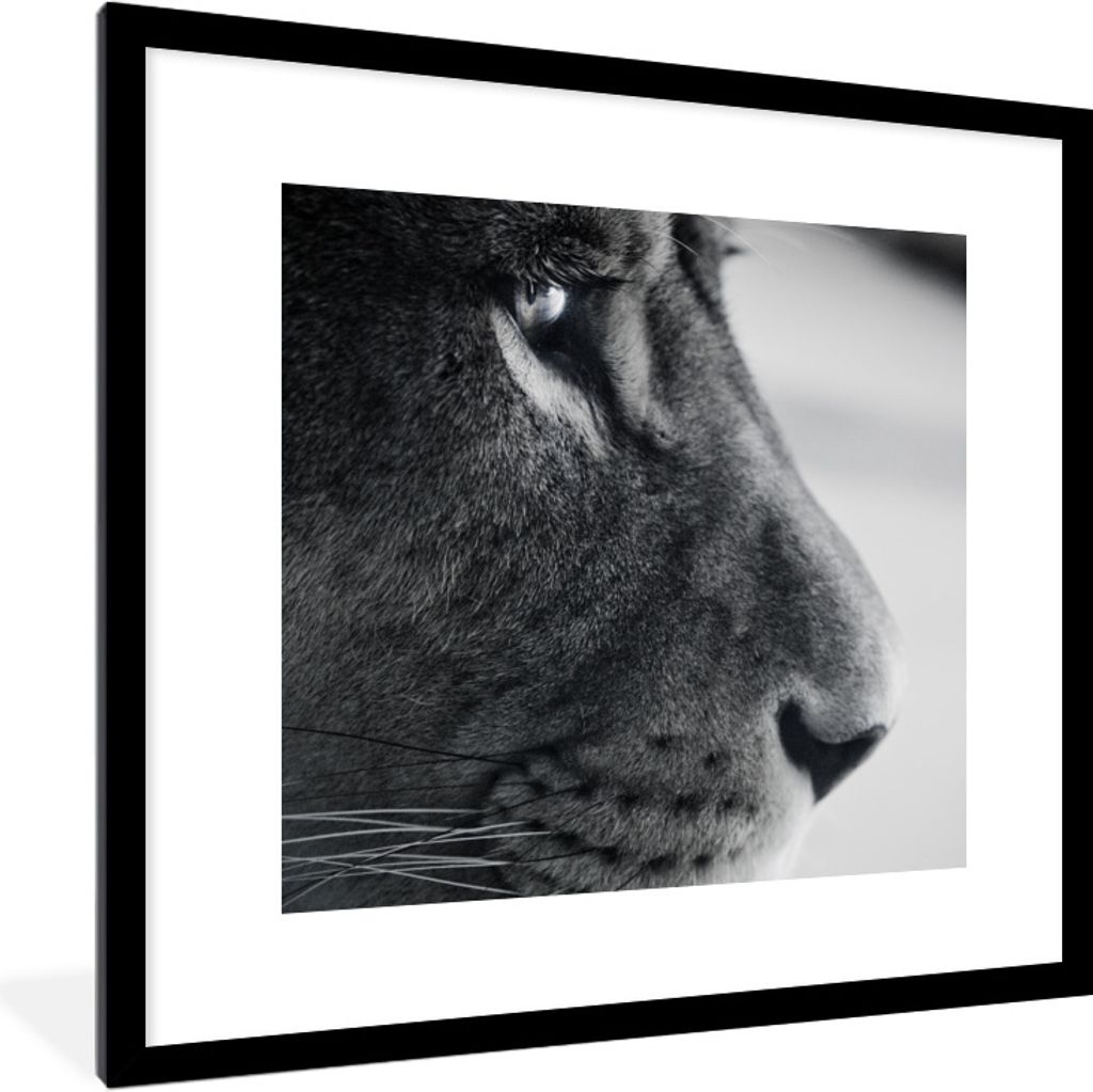 MuchoWow Gerahmtes Poster Tierprofil Löwe in schwarz und weiß 40x40 cm - Poster mit Schwarzem Bilderrahmen Wandposter Rahmen Foto Bilder - Post...