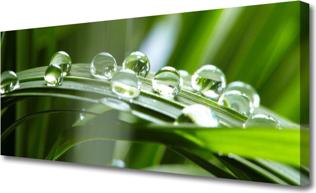 Tulup Leinwand-Bilder 125x50 Wandbild Canvas Kunstdruck Gras Tautropfen Pflanzen