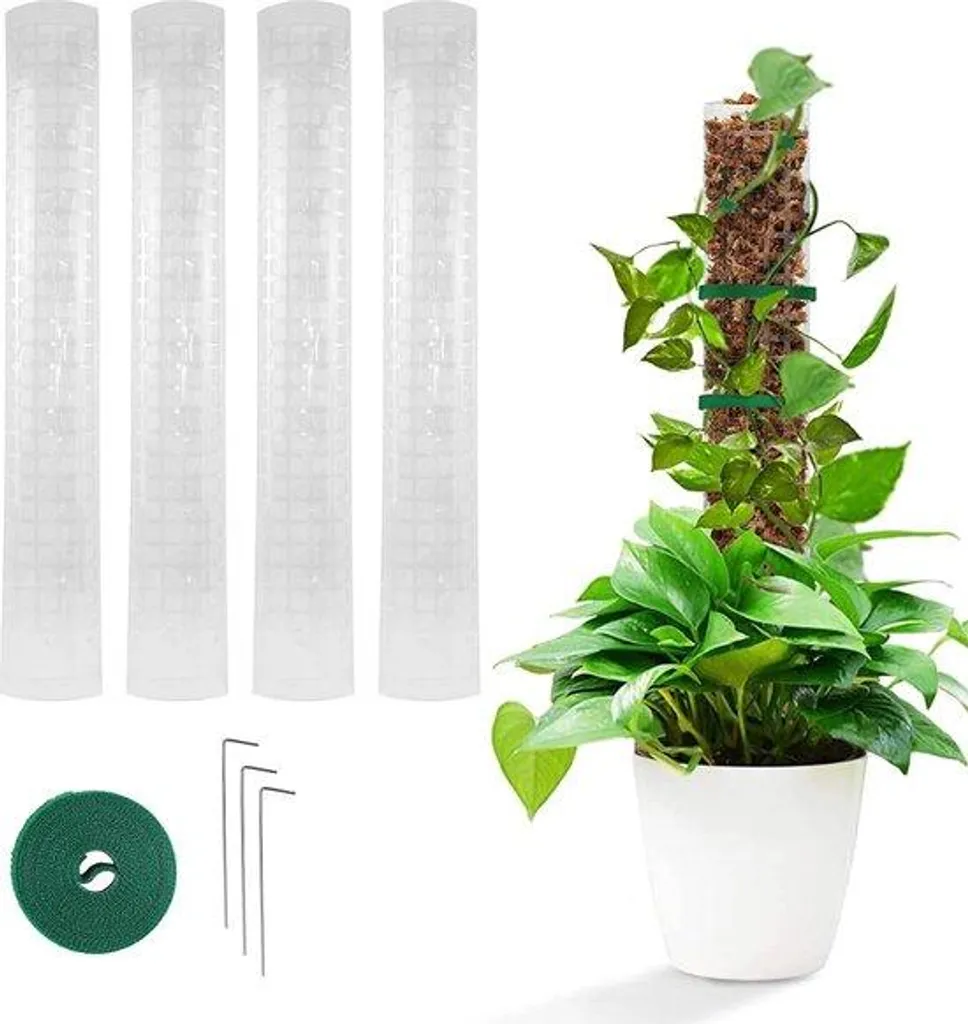 Support plante demi-rond 61 cm contre l'affaissement - Lot de 4 tuteurs