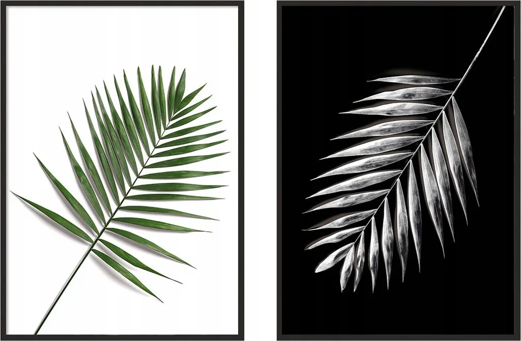 Habillez vos Murs Vides avec ce Set de 2 Tableaux Feuilles de Palmier