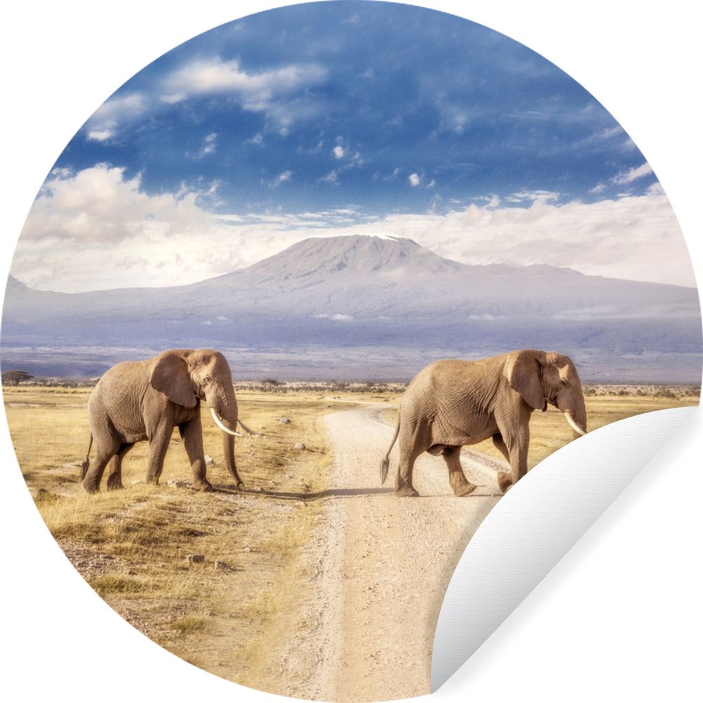 MuchoWow Runde Wandtattoo - Wandsticker Tapete Aufkleber Elefant - Wolke - Safari Ø 30 cm Selbstklebend und Repositionierbar - Wandaufkleber - K...