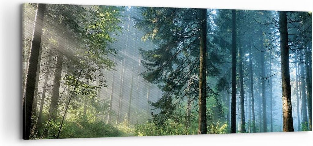 Bild auf Leinwand - Leinwandbild - Einteilig - Wald Dämmerung die Sonne - 120x50cm - Wand Bild - Wanddeko - Wandbilder - Leinwanddruck - Bilder - ...