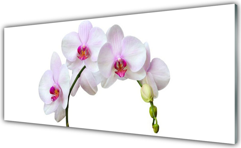 Küchenrückwand aus Glas 125x50cm Spritzschutz Blumen Pflanzen