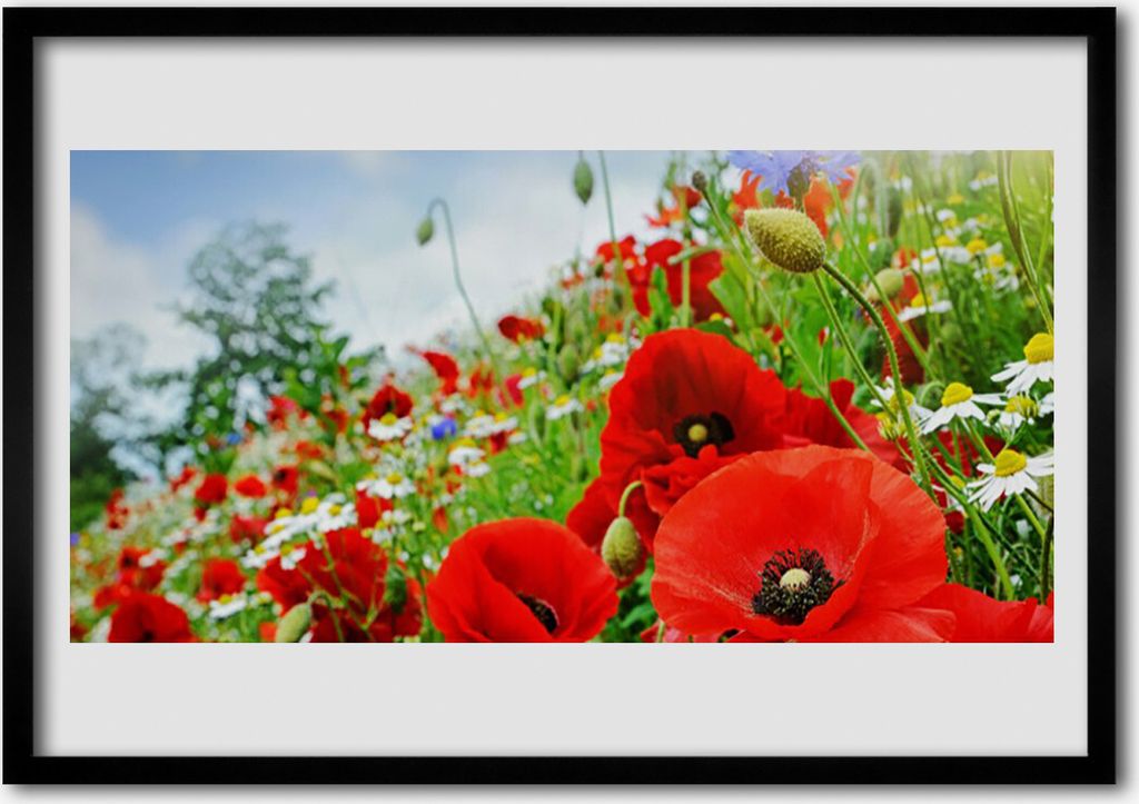 Bild 70x50 MDF-Rahmen Wandkunst Blumen Natur