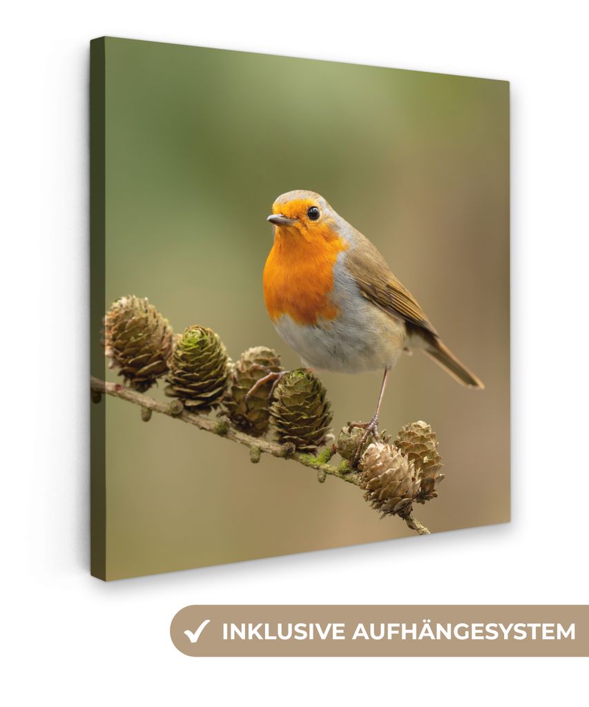 MuchoWow - Leinwandbilder - Vogel - Rotkehlchen - Tannenzapfen - Zweig - Herbst, Wandbild, Wanddeko Bilder Wohnzimmer, 20x20 cm