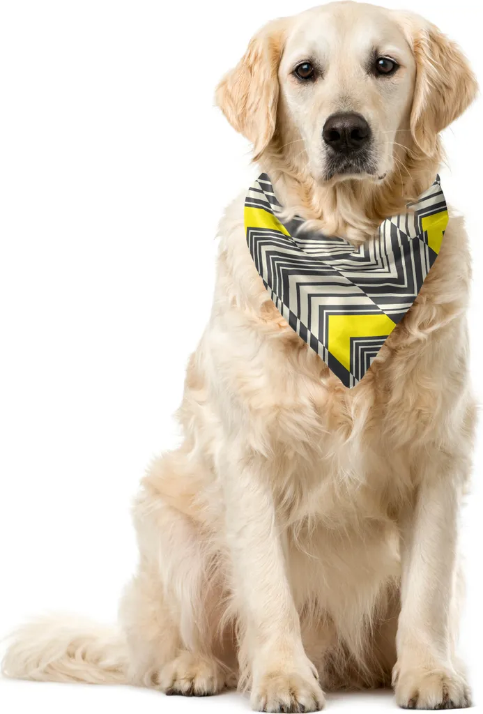Bandana Cani Zigzag Retrò ABAKUHAUS 55x55cm Giallo Avorio e Grigio