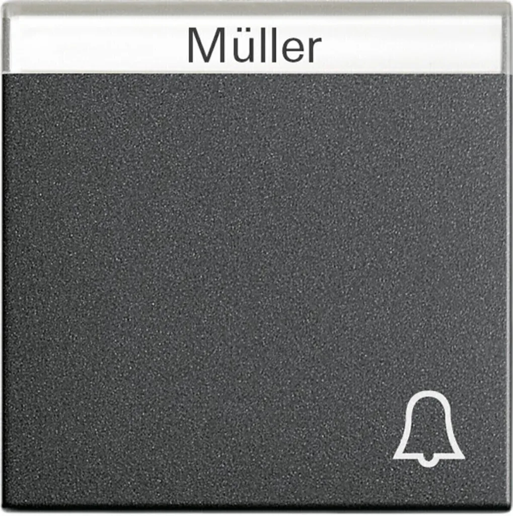 Bascule de Sonnette Anthracite Gira Système 55 pour Nom Personnalisé