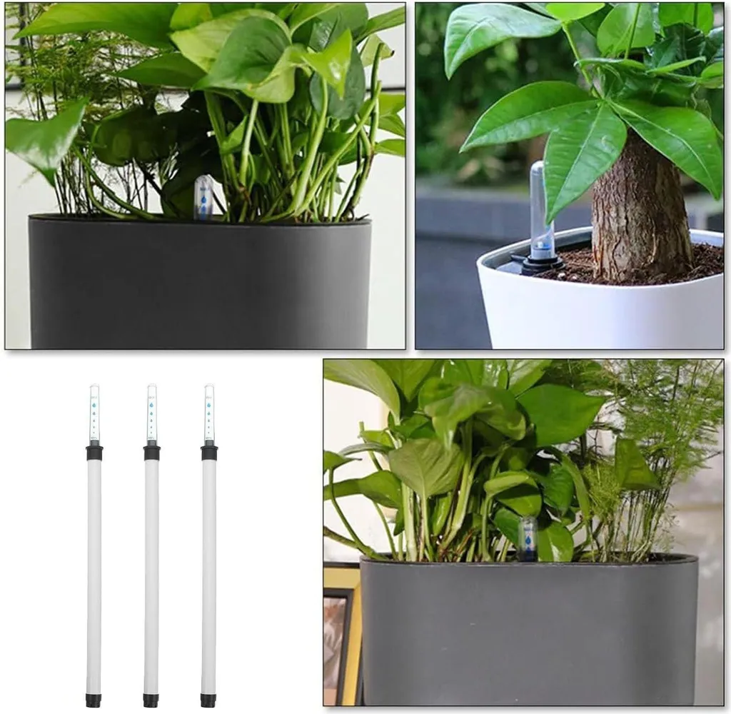 Set de 3 indicateurs de niveau d'eau 36cm pour plantes d'intérieur