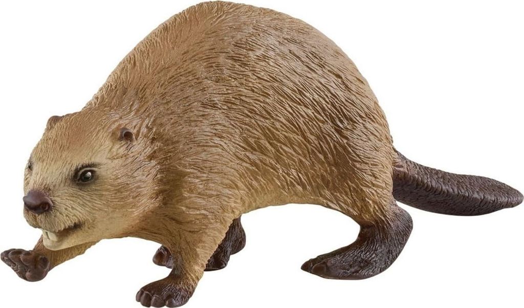 schleich Wild Life Beaver Immagine del prodotto 