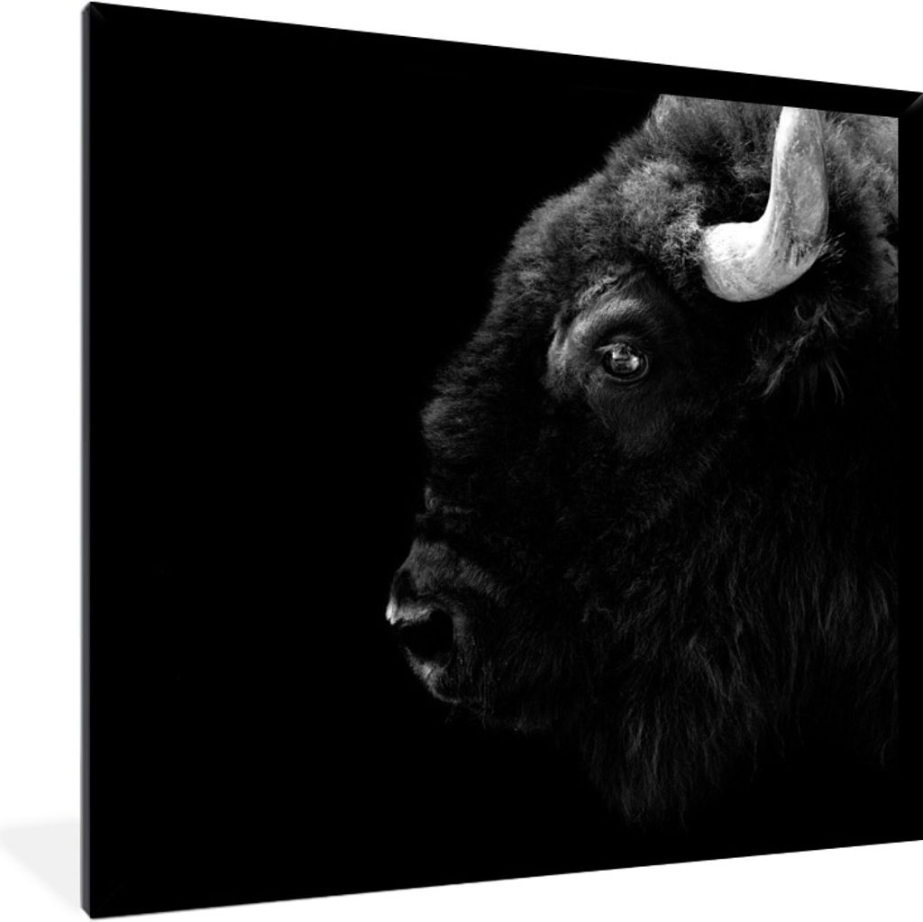 MuchoWow Gerahmtes Poster Amerikanischer Bison auf schwarzem Hintergrund - schwarz und weiß 40x40 cm - Poster mit Schwarzem Bilderrahmen Wandpos...